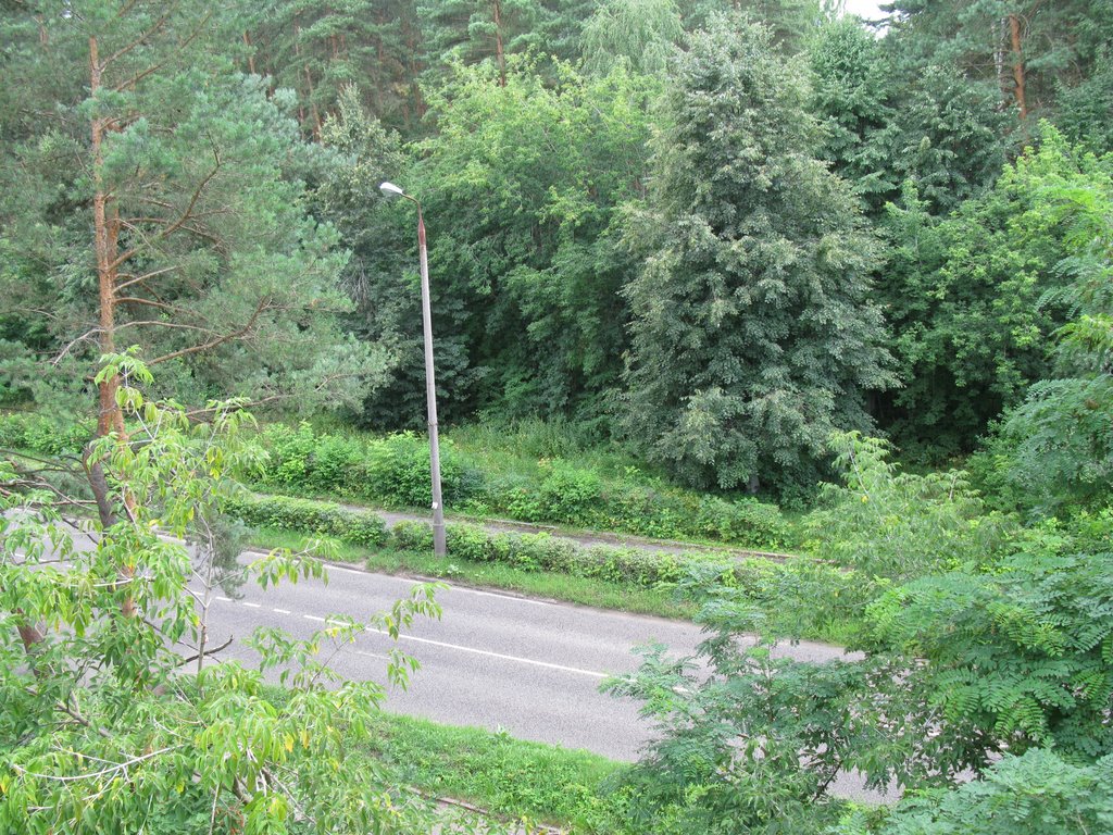 Улица Мира из окна