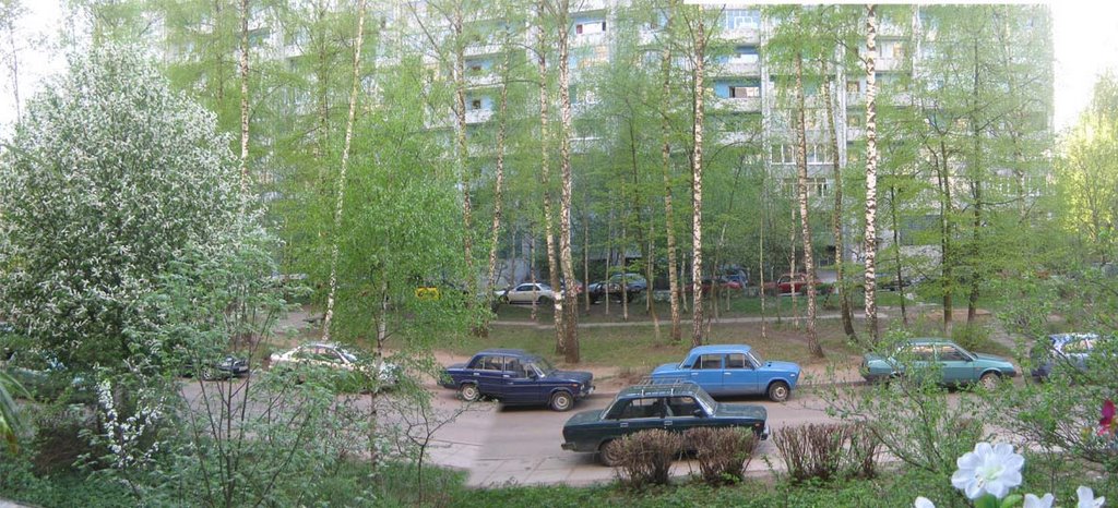 Фестивальный, дом 1