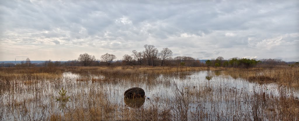 Flooding on the Protva river