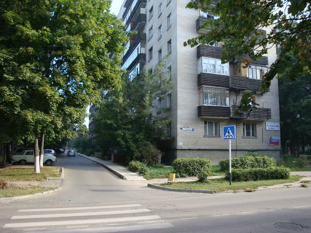 ул. Гагарина