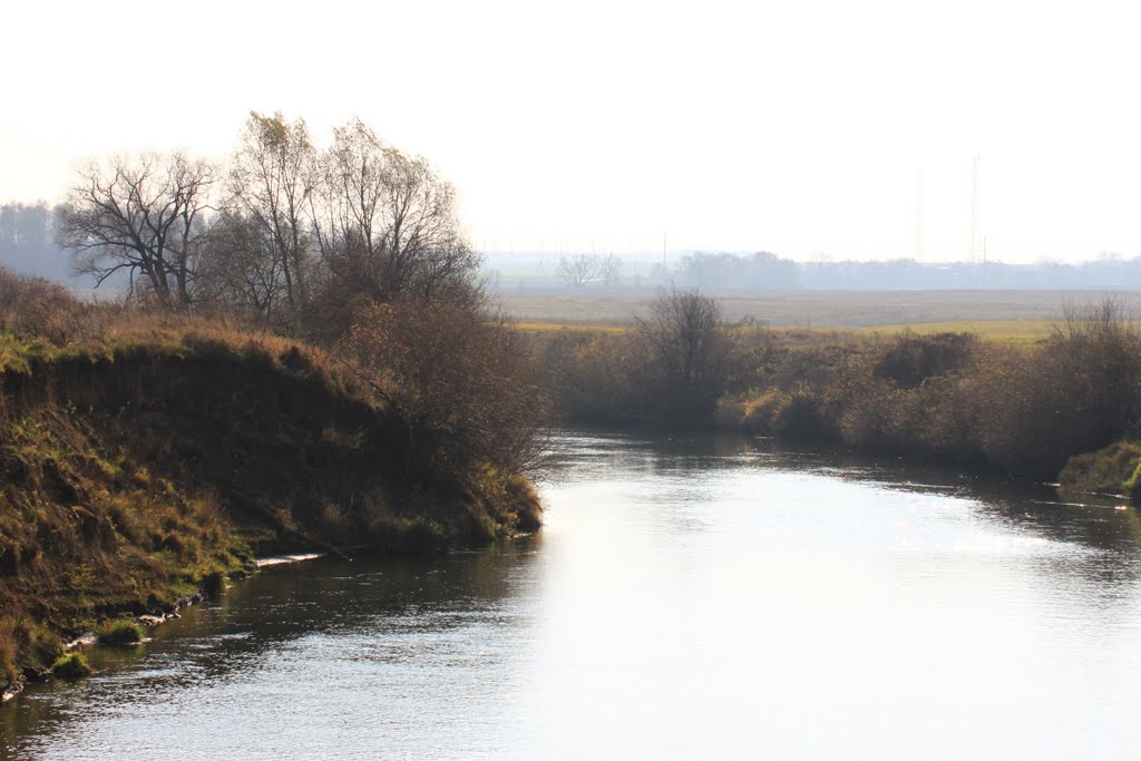 Protva river