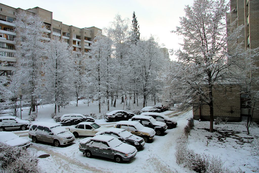 Утро нового 2012 года