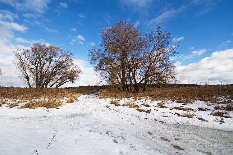 The end of winter