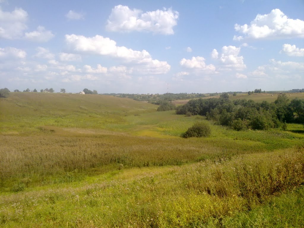 Пойма р.Муравка