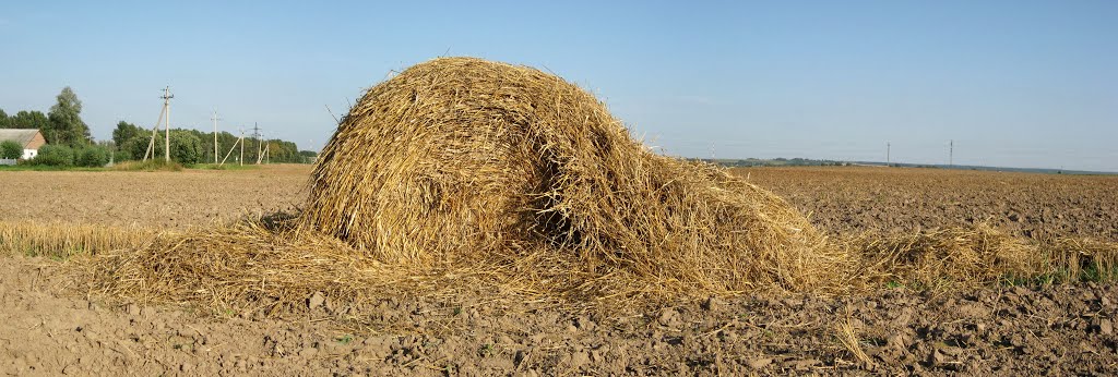 Напоминание о лете. Микляево