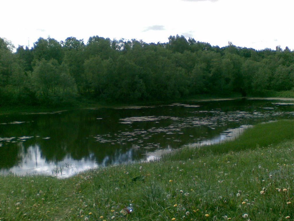 Прудик