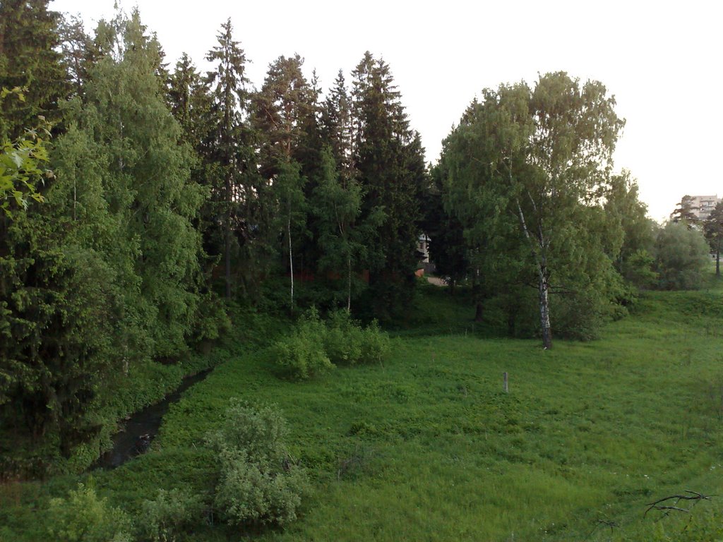Вид со станции
