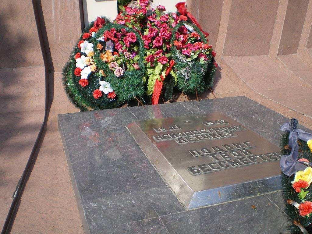 Selyatino-Denkmal des unbekannten Fliegers 2009