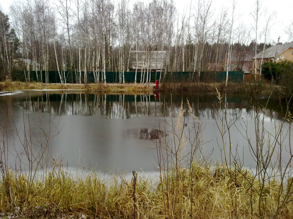 Пруд без названия