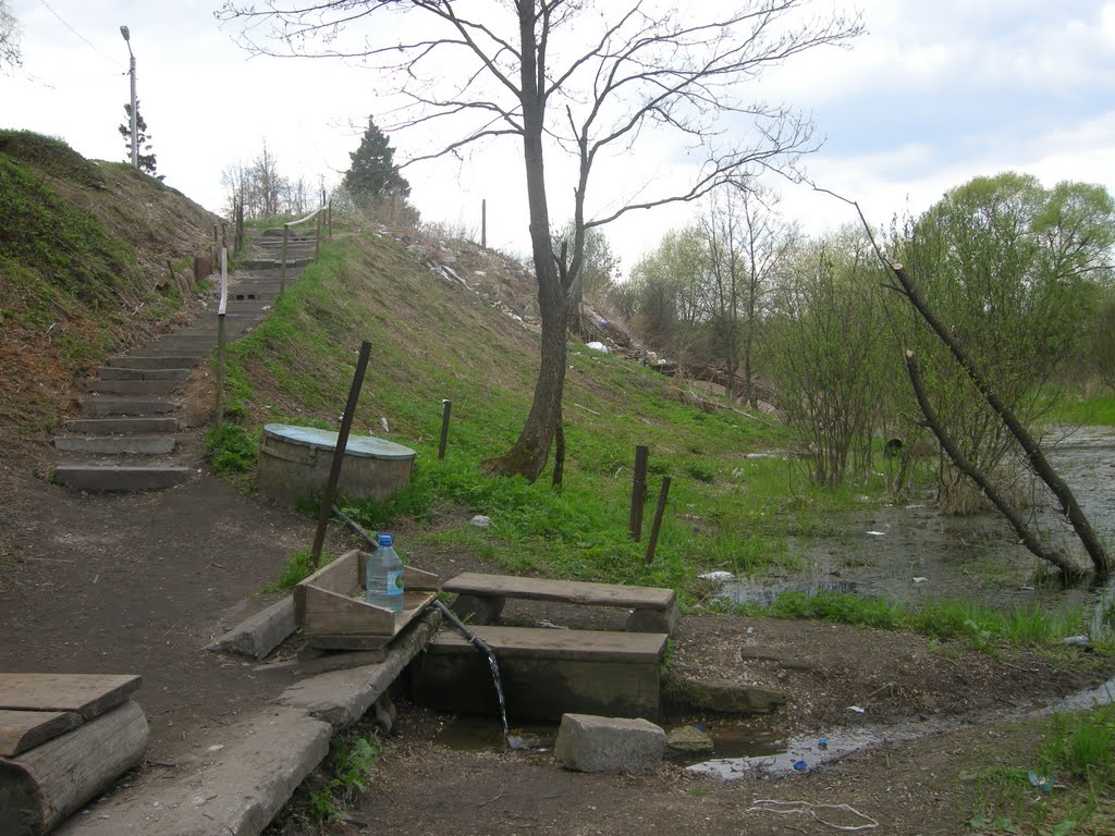 родник