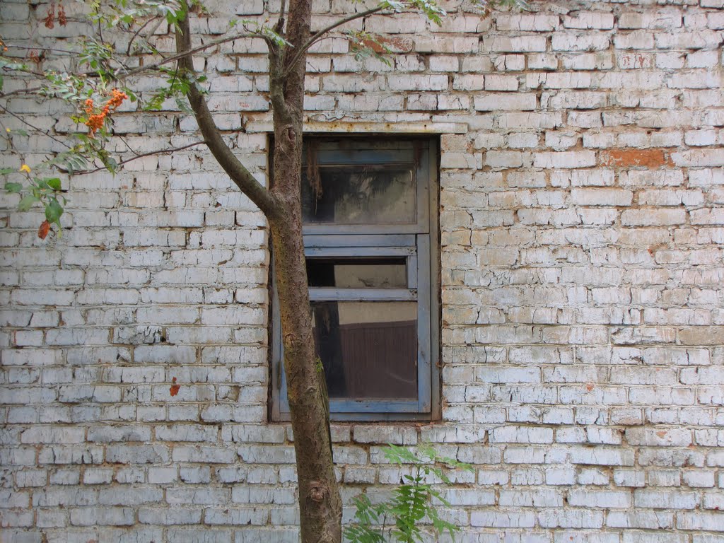 Alabino - Russian Windows