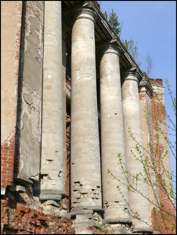 Усадьба в Петровском (май 2010 года)