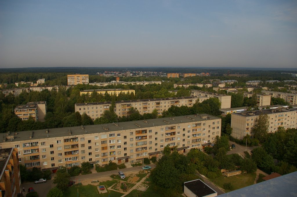 вид на Селятино