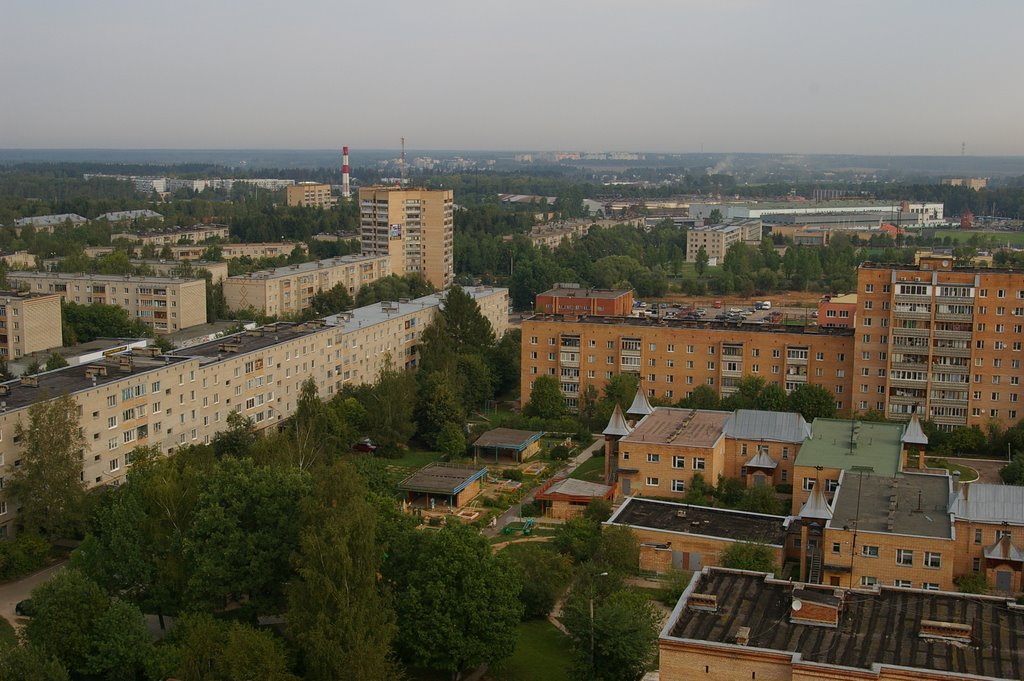 вид на Селятино
