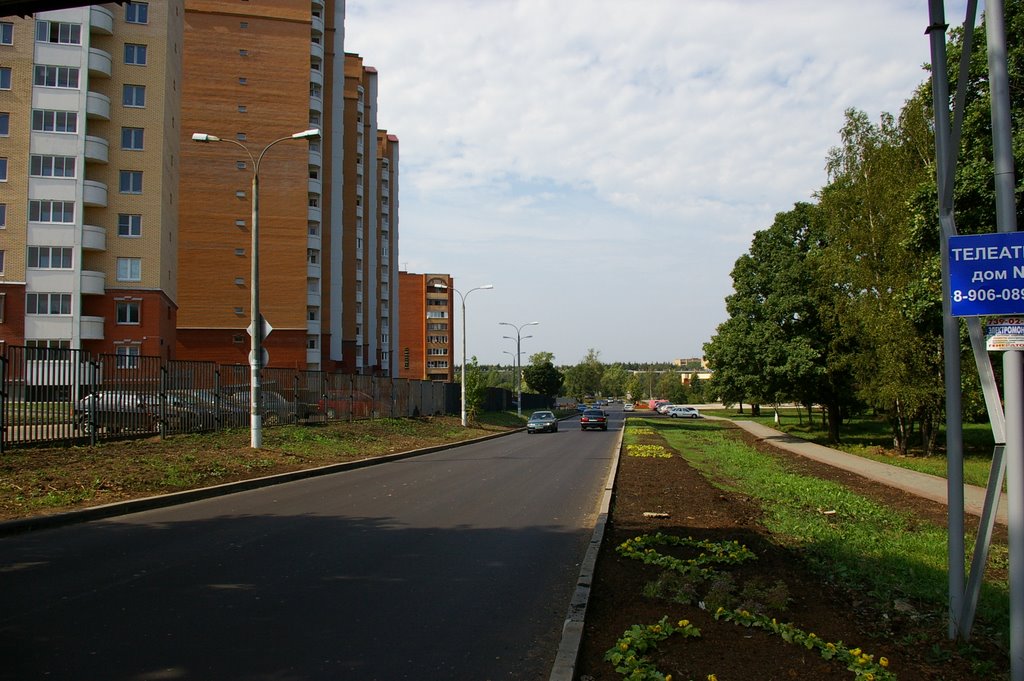 дорога у дома 52