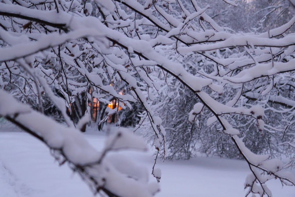 light and cold