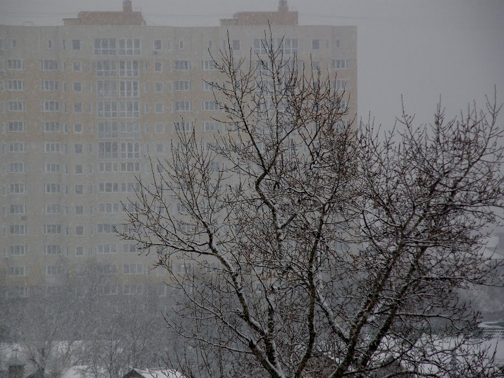 Апрелевка.
