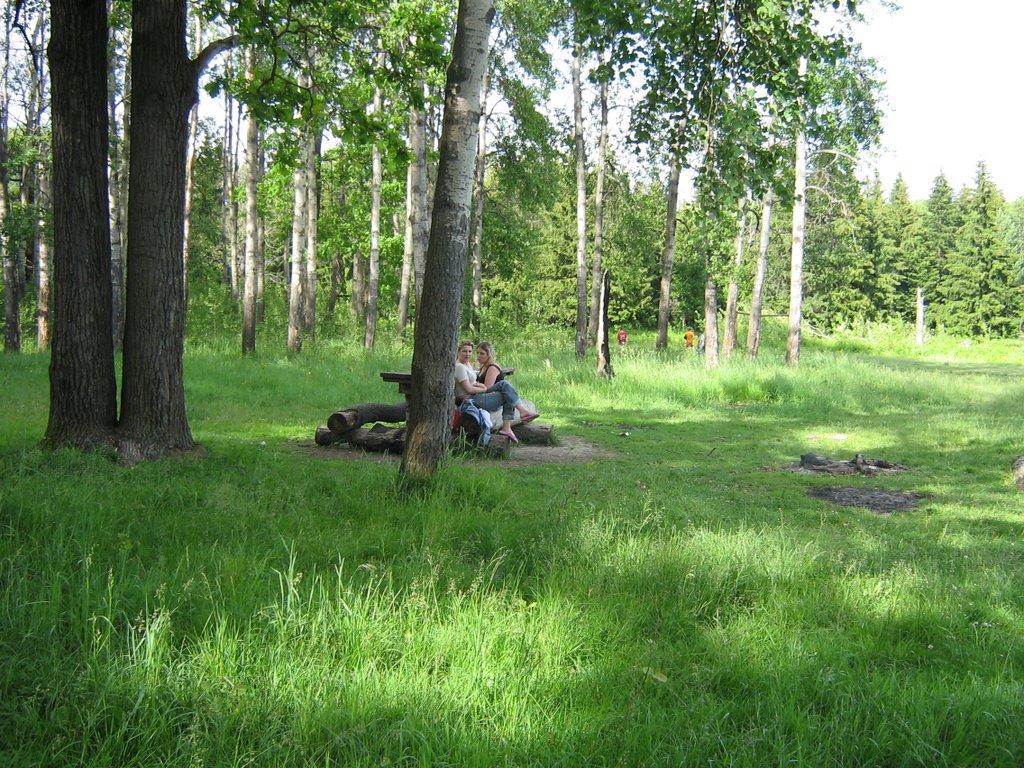 Поляна, стол