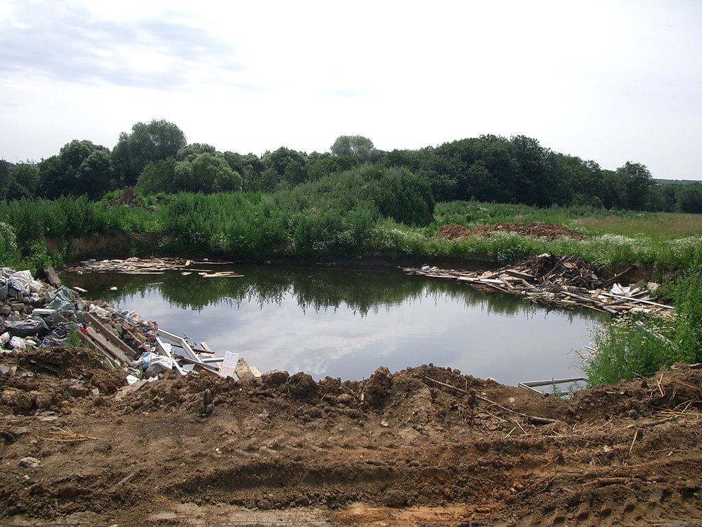 Город наступает (natures under attack)