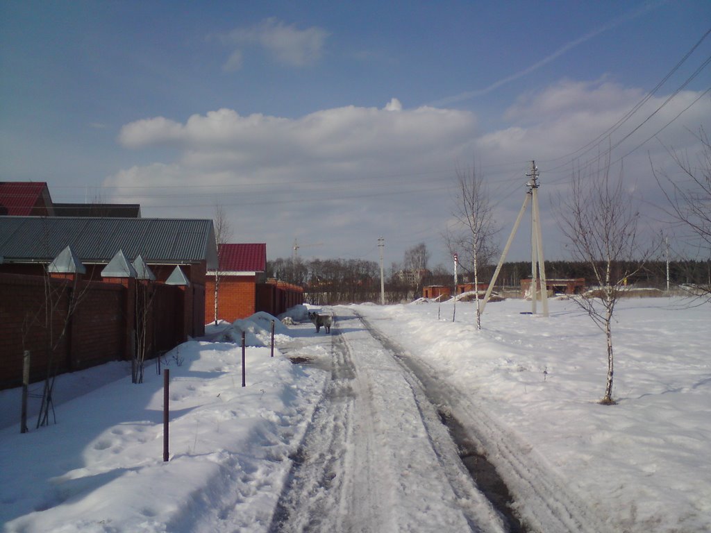 Дружок - местный, деревенский.