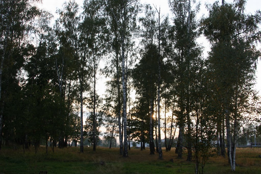 Aprelevka Березовая роща