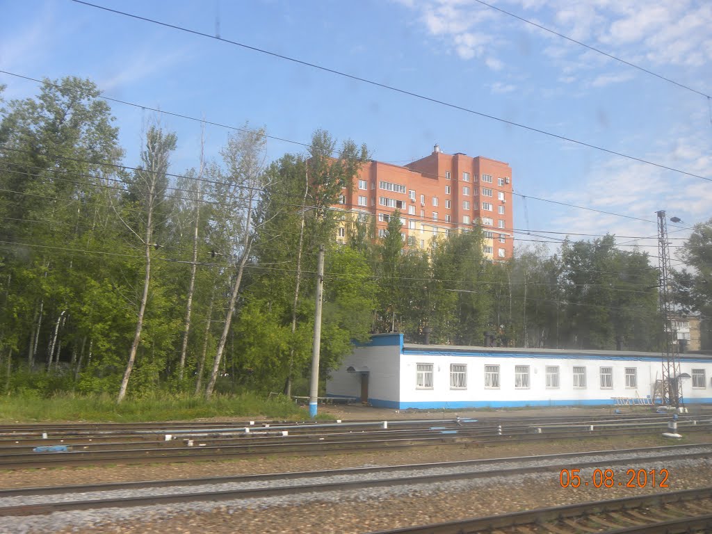 новые дома