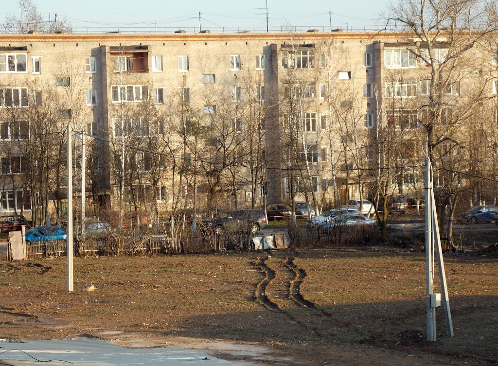 Короткая дорога домой