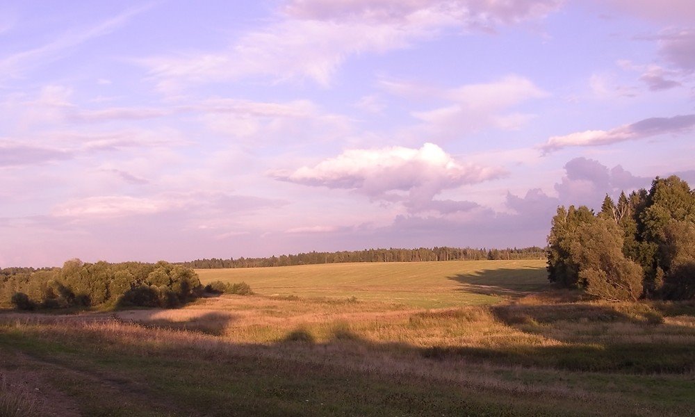 Landscape near Arkhangelskoe