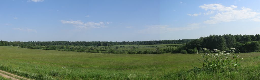 Stroganka