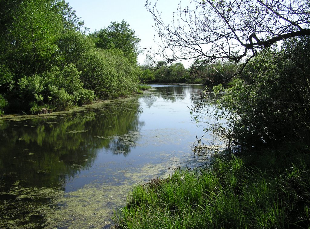 Nerskaya river