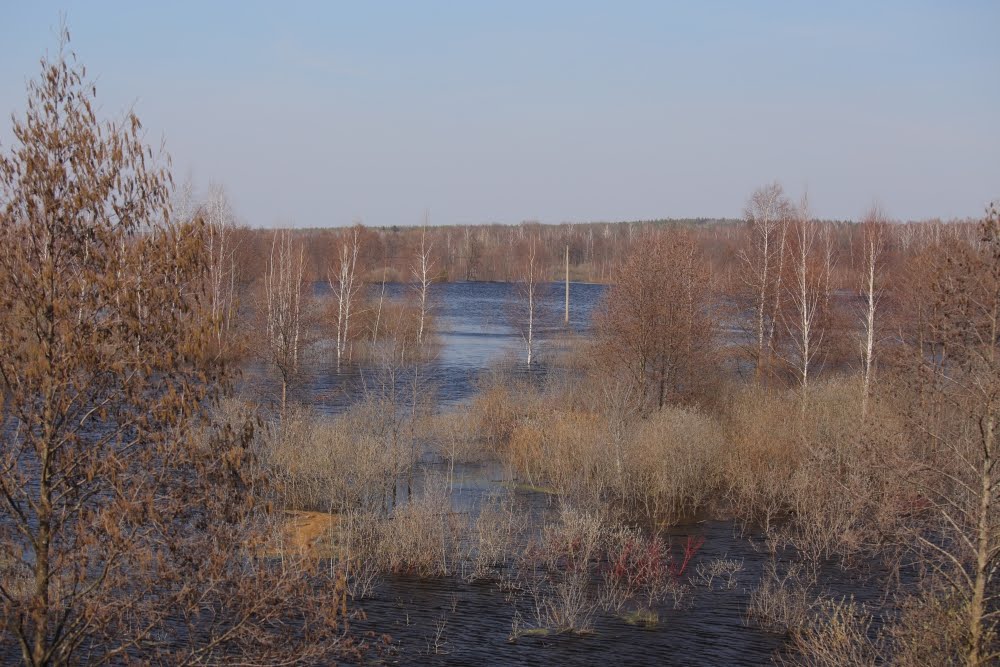 разлив