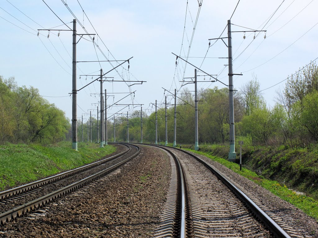 На Рязань (км 74/75)