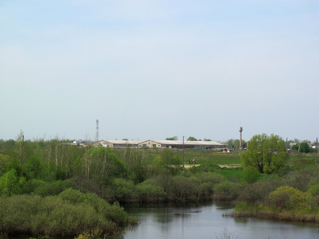 Ферма в Щельпино