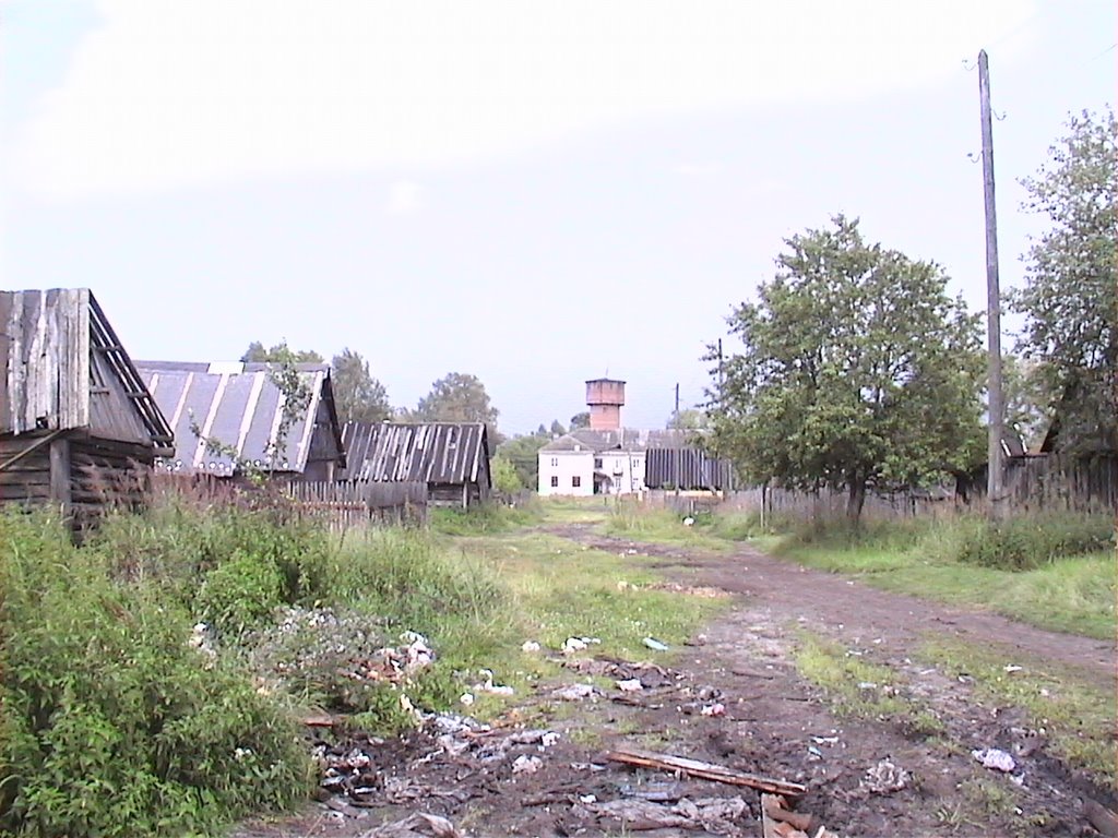 Сараи, вид на белый дом