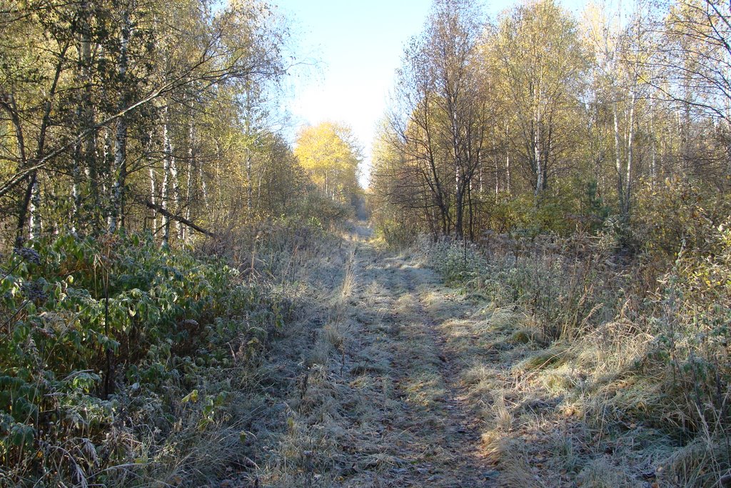 Бакшеево