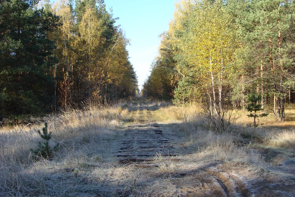 Шатурский район, Московская область