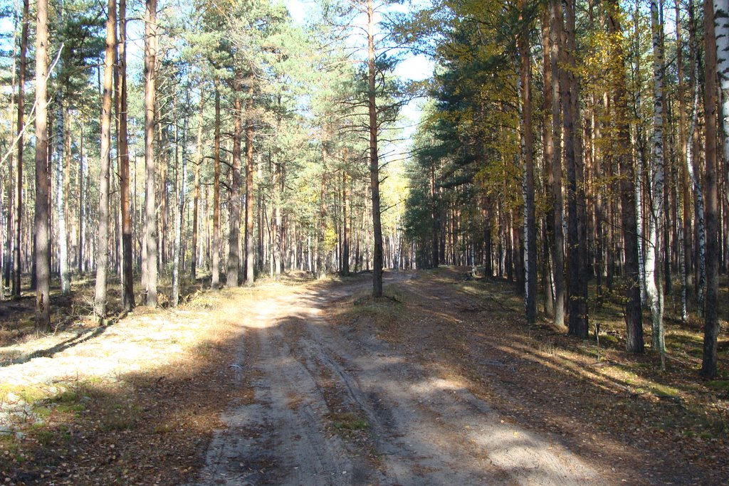 Шатурский район, Московская область