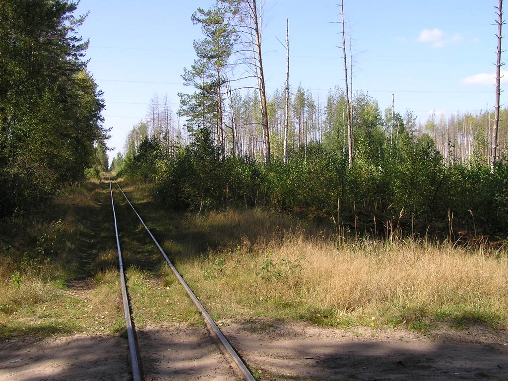 Узкоколейка