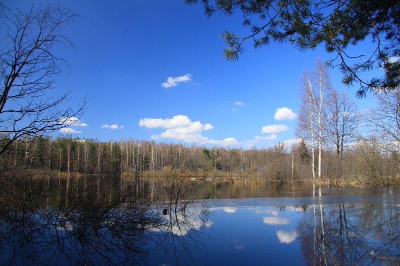 Весеннее половодье