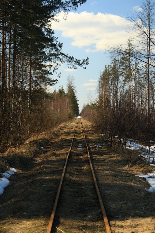 Узкоколейная железная дорога