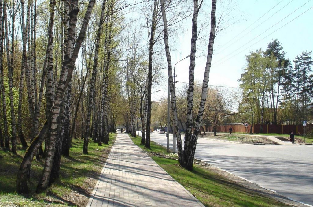 Весенняя дорога (The springs road)