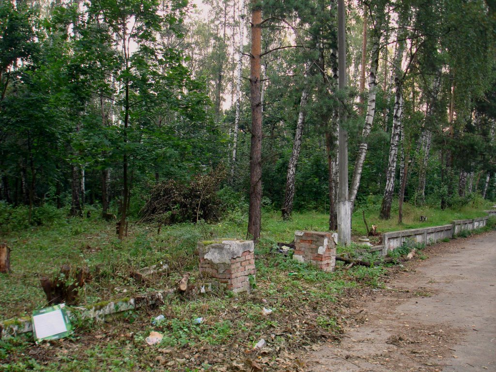 Старый парк моего детства (The old park of my childhood)