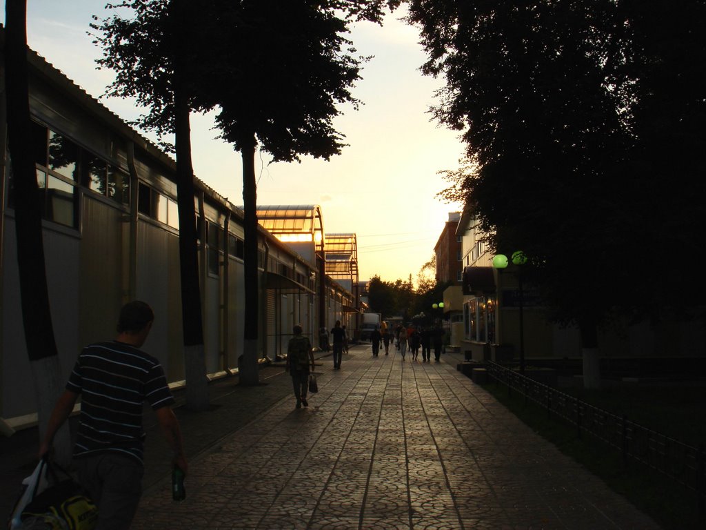 Дорога у галереи Пирамиды / Road near the gallery "Piramid"
