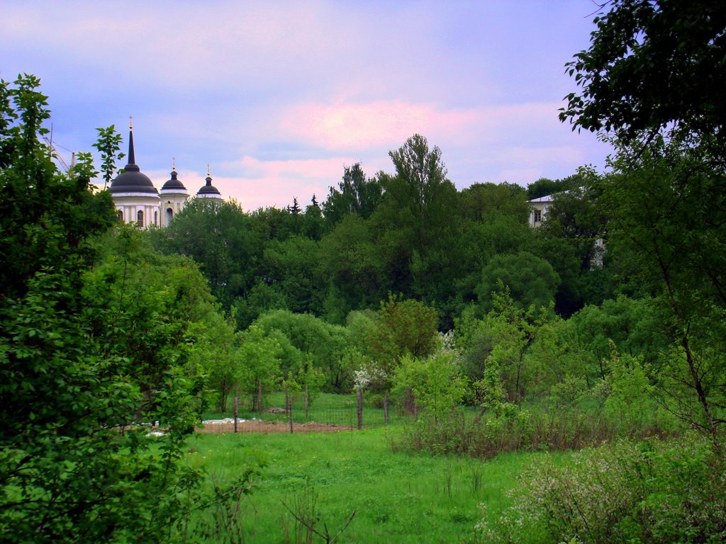 Балашиха в районе Леоново (Balashikha near Leonovo)