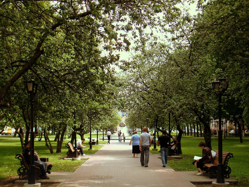 Прогулка по проспекту (Walking along the avenue)