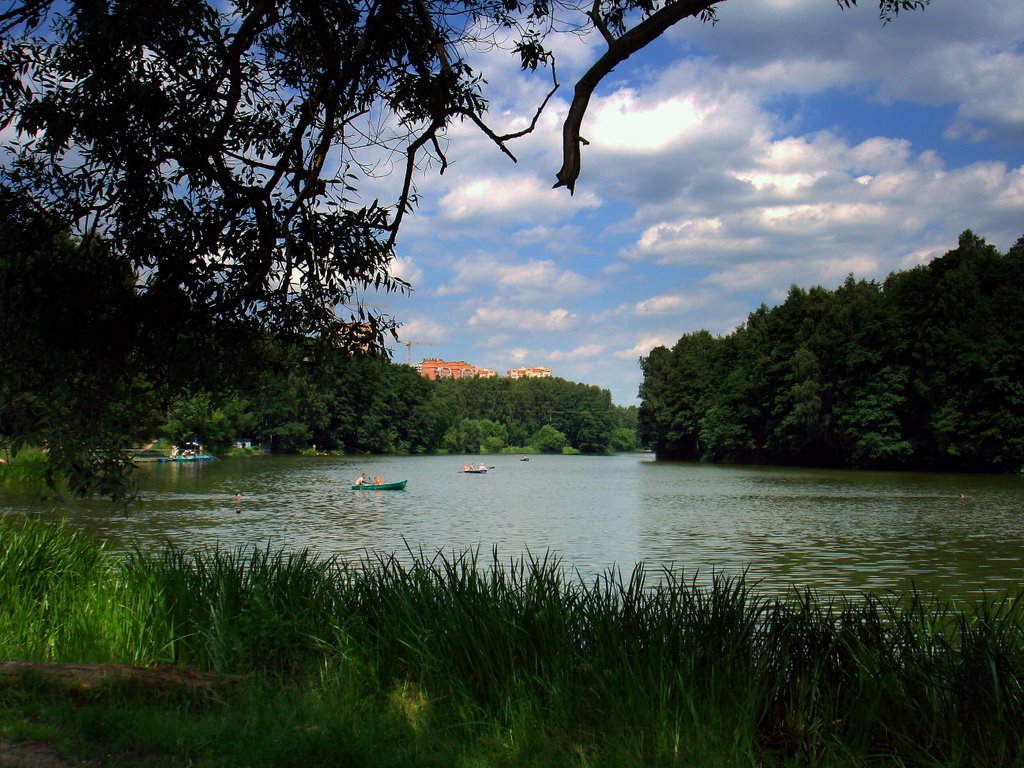 Река Пехорка в парке (The river Pekhorka in the park)