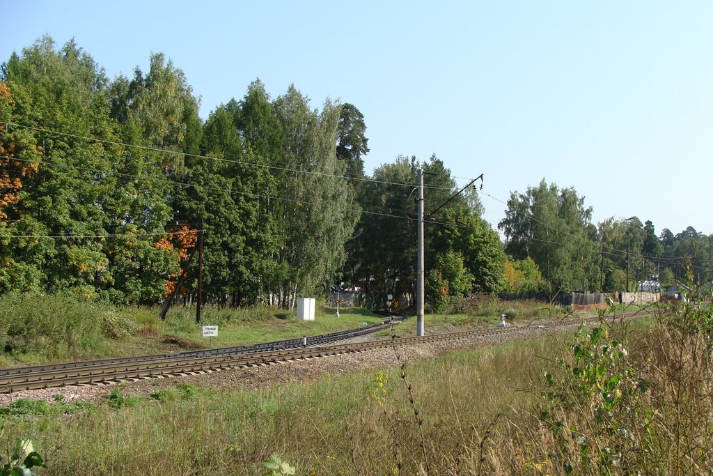 Балашиха
