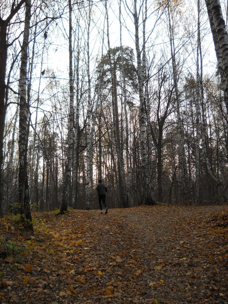 Бег по пересеченной местности...