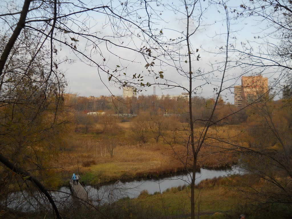Живописный уголок ближнего Подмосковья...