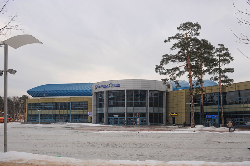 Балашиха Арена 2013